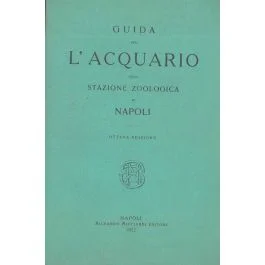 bibliorfeo202606221405311720905