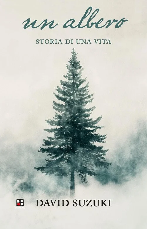 libreriacortinamilano-1202606221159571693781