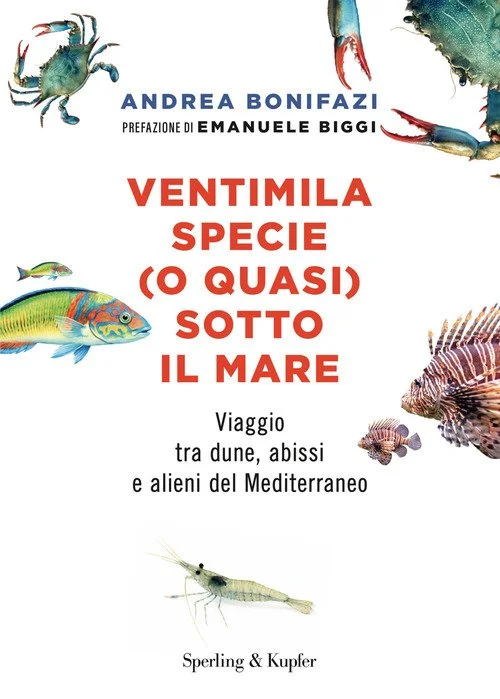 libreriacortinamilano-1202606221203431694672