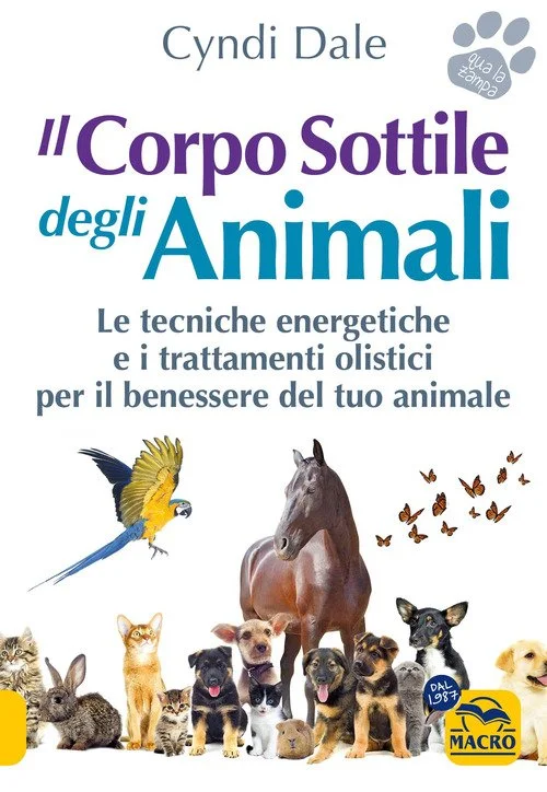 libreriacortinamilano-1202606221434411725608