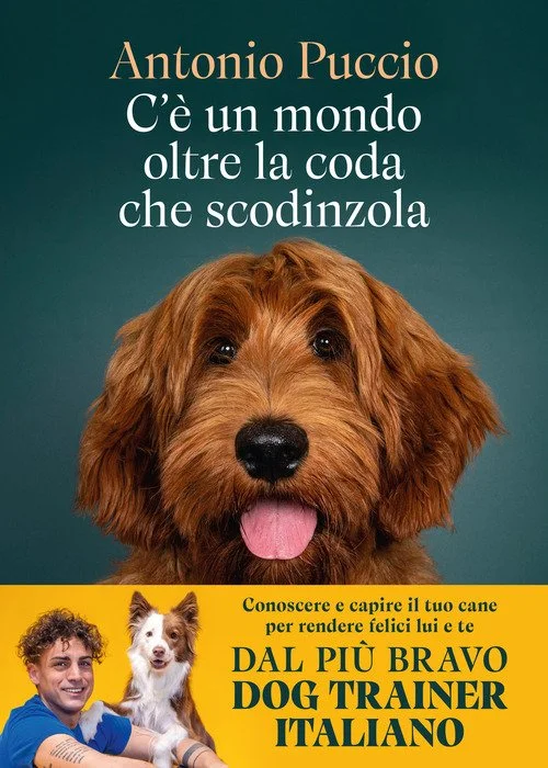 libreriacortinamilano-1202606221546321740138
