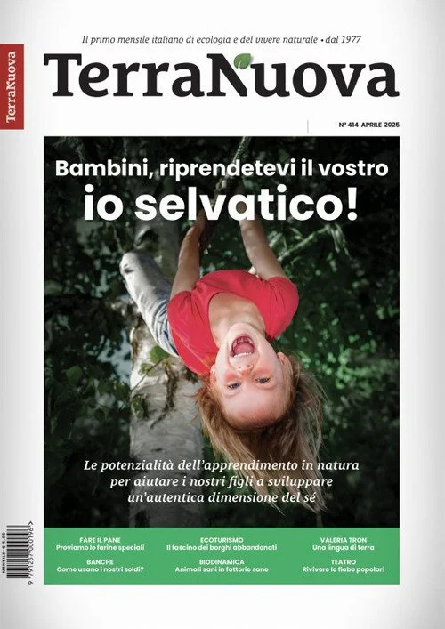 libreriacortinamilano-1202606221715161757609