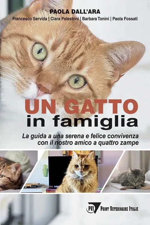 libreriacortinamilano-1202606221847031777794