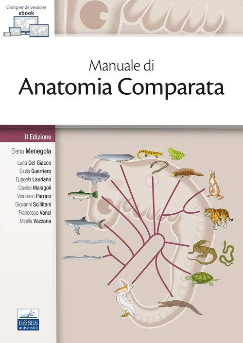 libreriacortinamilano-1202606221911361783275