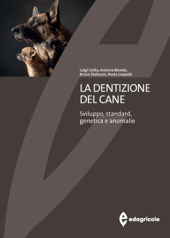 libreriacortinamilano-1202606221921581785458