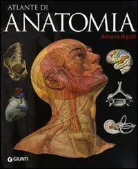 libreriacortinamilano-1202606221936191788359