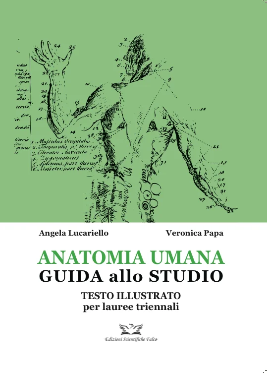 libreriacortinamilano-1202606222213051821908