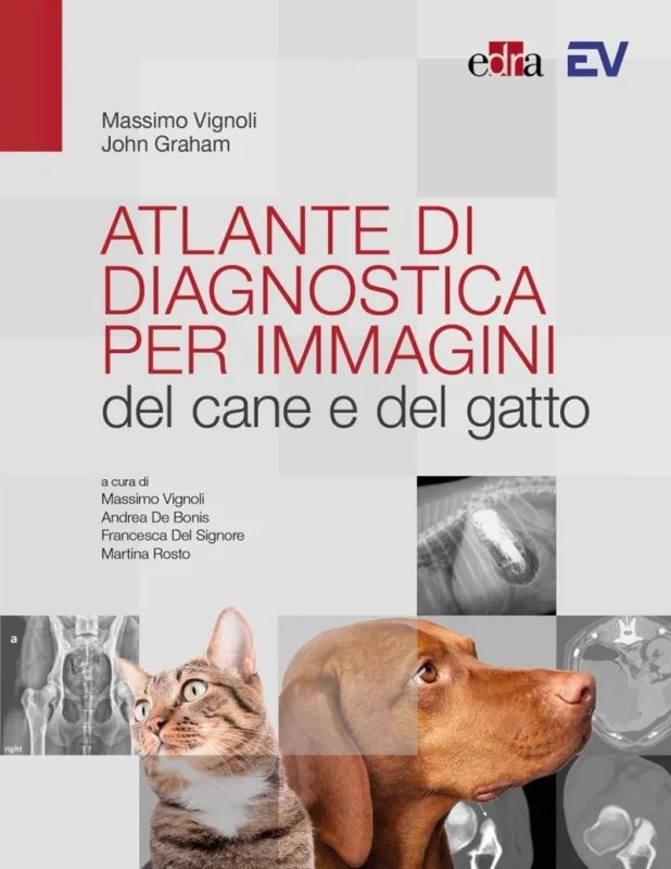 libreriacortinamilano-1202606222247091829216