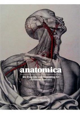 libreriacortinamilano-1202606230034091853694