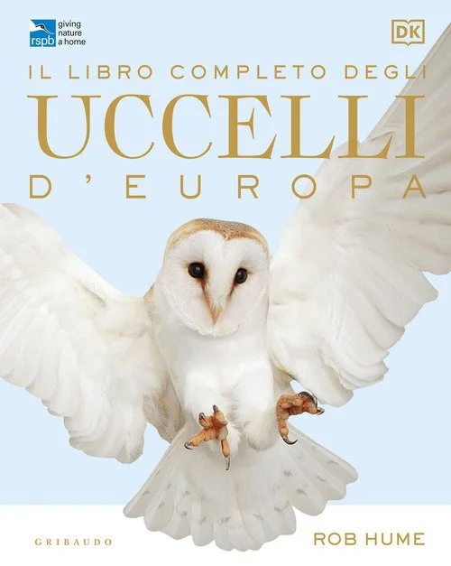 libreriacortinamilano-1202606230251191883613