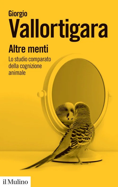 libreriacortinamilano-1202606230357331897842