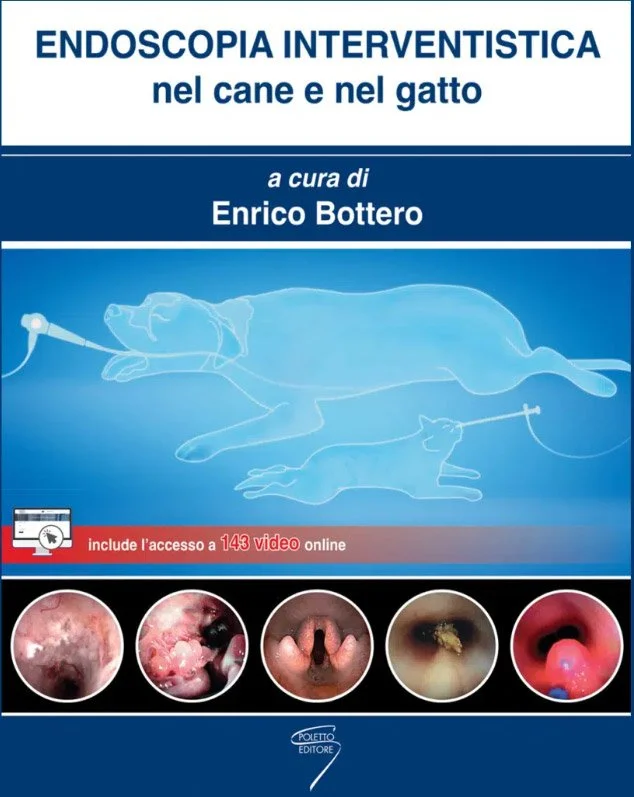 libreriacortinamilano-1202606230455001910394