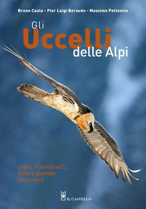libreriacortinamilano-1202606230525101917226