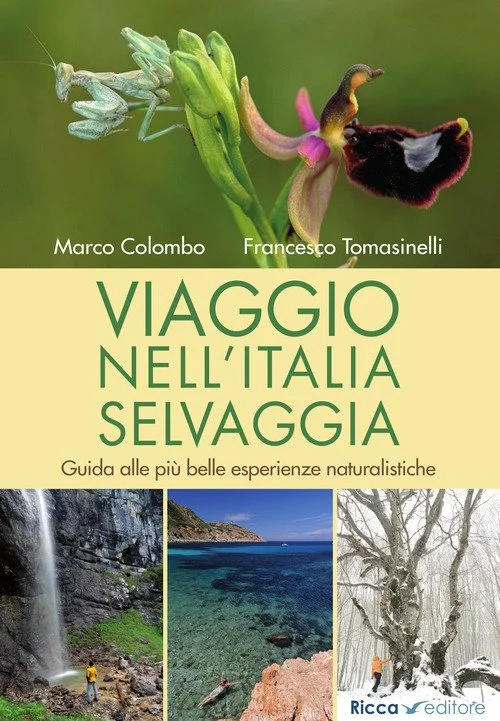 libreriacortinamilano-1202606230525201917262
