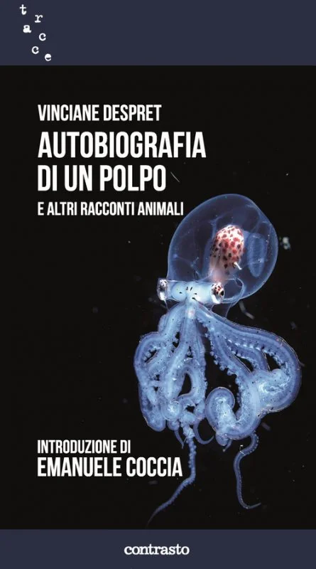 libreriacortinamilano-1202606230749131943569