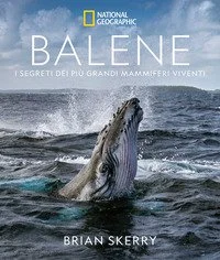 libreriacortinamilano-1202606231037571979597