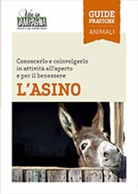 libreriacortinamilano-1202606232024232106481