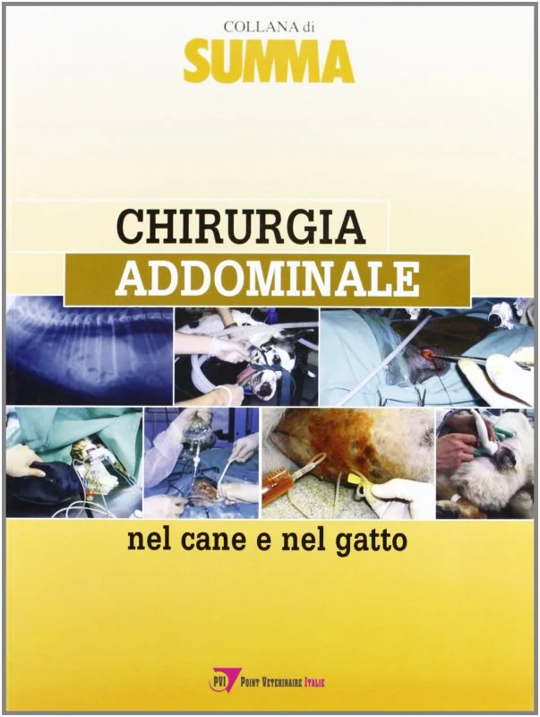 libreriacortinamilano-1202606232150572126595
