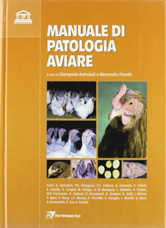 libreriacortinamilano-3202606232018152105041