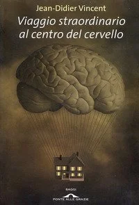 libreriacortinamilano-3202606232325562148999