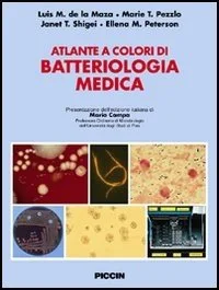 libreriacortinamilano-3202606240300572197278