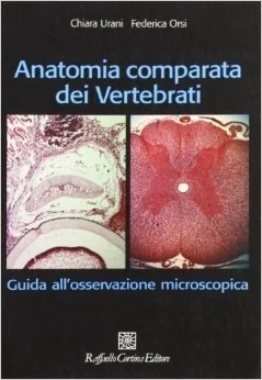 libreriacortinamilano-3202606240919072271427