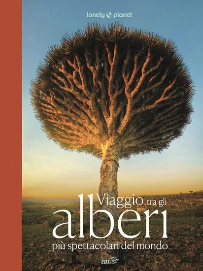 libreriadantealighieri-1202606221113391683481