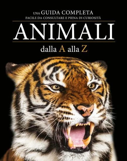 libreriadantealighieri-1202606221628001748609