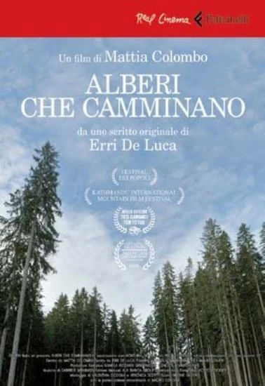 libreriadantealighieri-1202606222349421843951