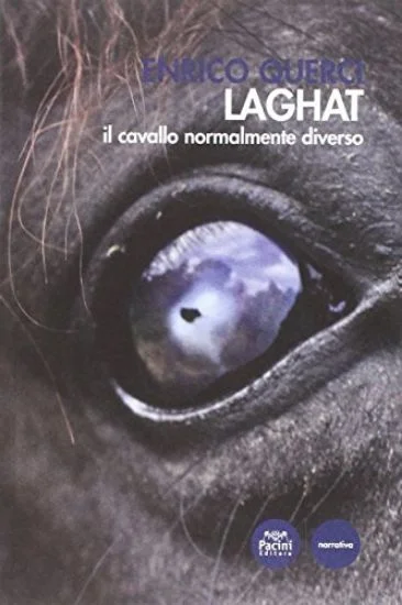 libreriadantealighieri-1202606230022081850888