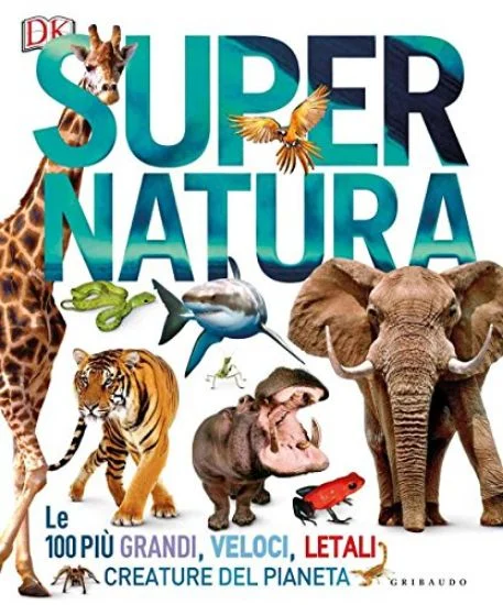libreriadantealighieri-1202606230116311863029