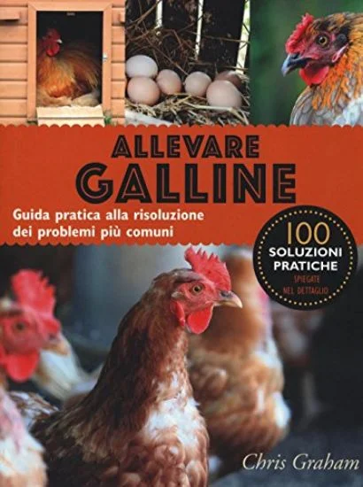libreriadantealighieri-1202606230123351864636