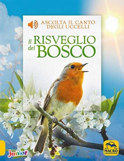 libreriadantealighieri-1202606230216481876410