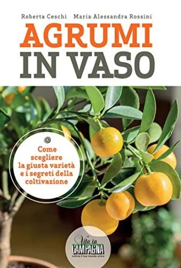 libreriadantealighieri-1202606230225411878314