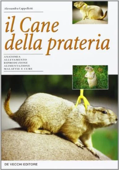 libreriadantealighieri-1202606230418301902401