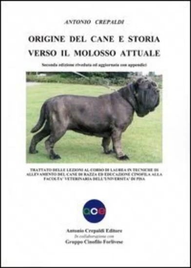 libreriadantealighieri-1202606230503581912497