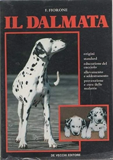 libreriadantealighieri-1202606230520221916214