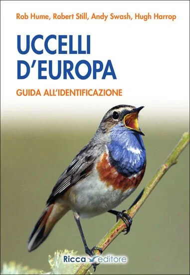 libreriadantealighieri-2202606231322432020050