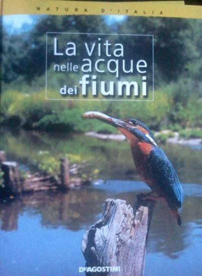 libreriadantealighieri-2202606232122282120379