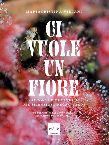 libreriadantealighieri-2202606232244502139395