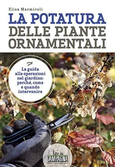 libreriadantealighieri-2202606240421382213684