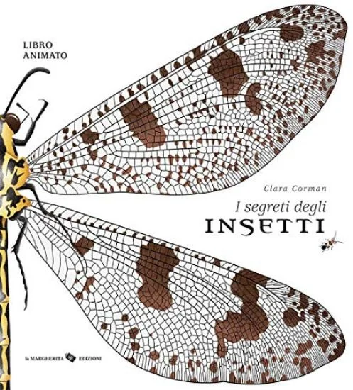 libreriadantealighieri-2202606240604182234817
