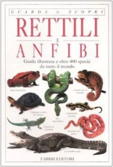 libreriadantealighieri-2202606240612412236537