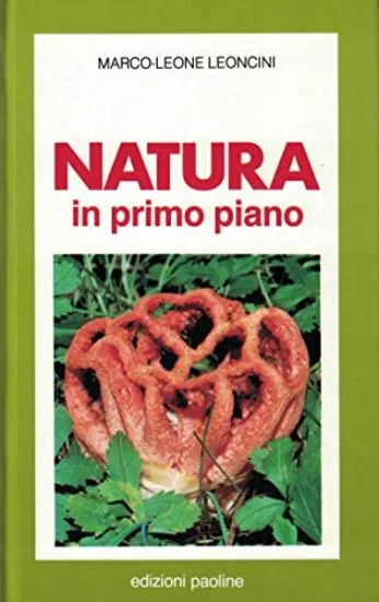 libreriadantealighieri-2202606240623472239038