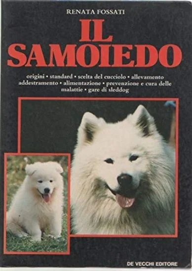 libreriadantealighieri-2202606240711002249484