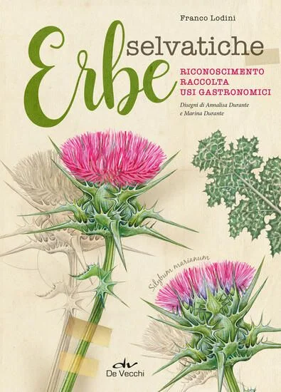 libreriadantealighieri-3202606231509242043476
