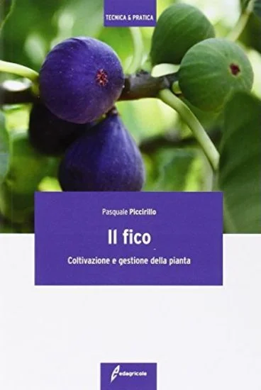 libreriadantealighieri-3202606240133542177849