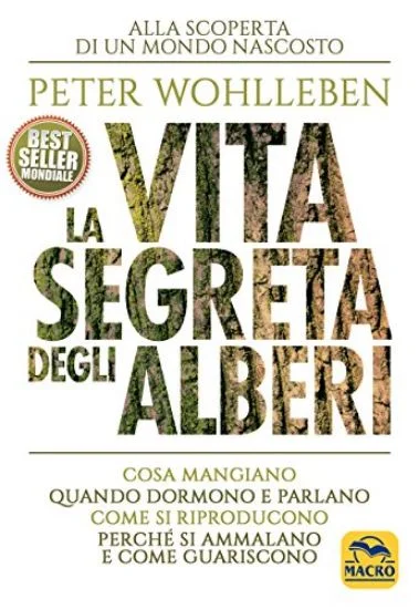 libreriadantealighieri-3202606240252132195496