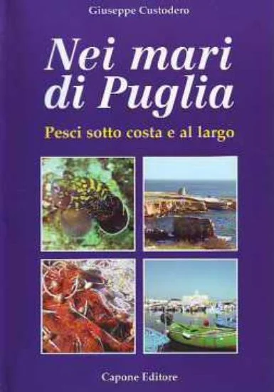 libreriadantealighieri-3202606240743462256987