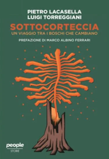libreriadantealighieri-4202606231316492018686